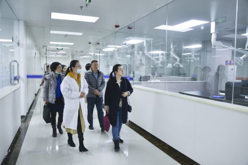 審計署長沙特派辦積極關(guān)注高新技術(shù)服務(wù)等重大建設(shè)項目進展情況